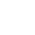 Robust Construction