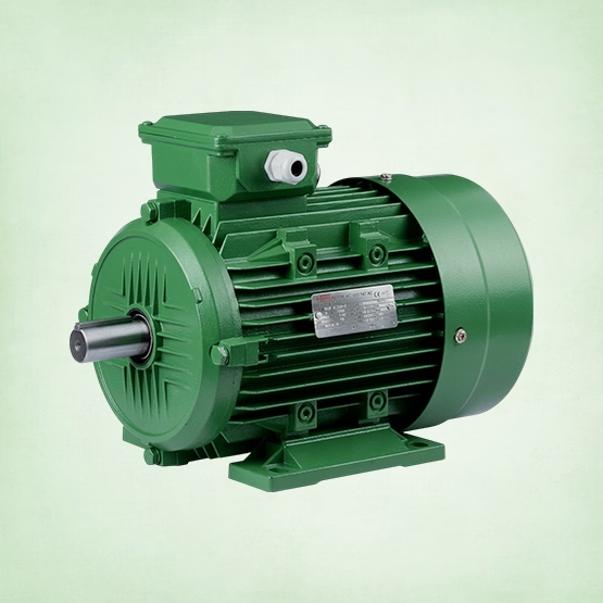 Induction Motor